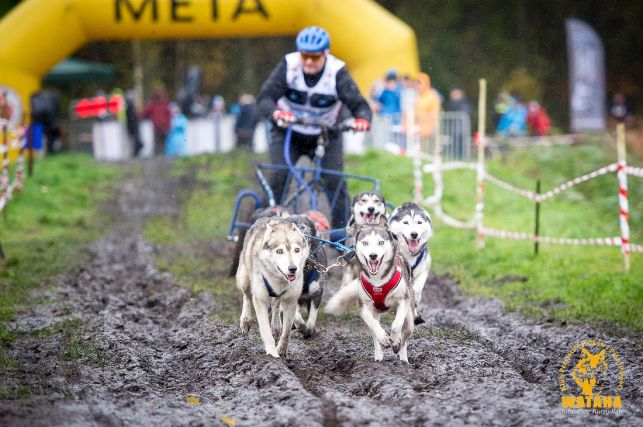 Najszybsze psy na Mistrzostwach Polski w Klukach. Bełchatowianie z medalami! [FOTO] - Zdjęcie główne