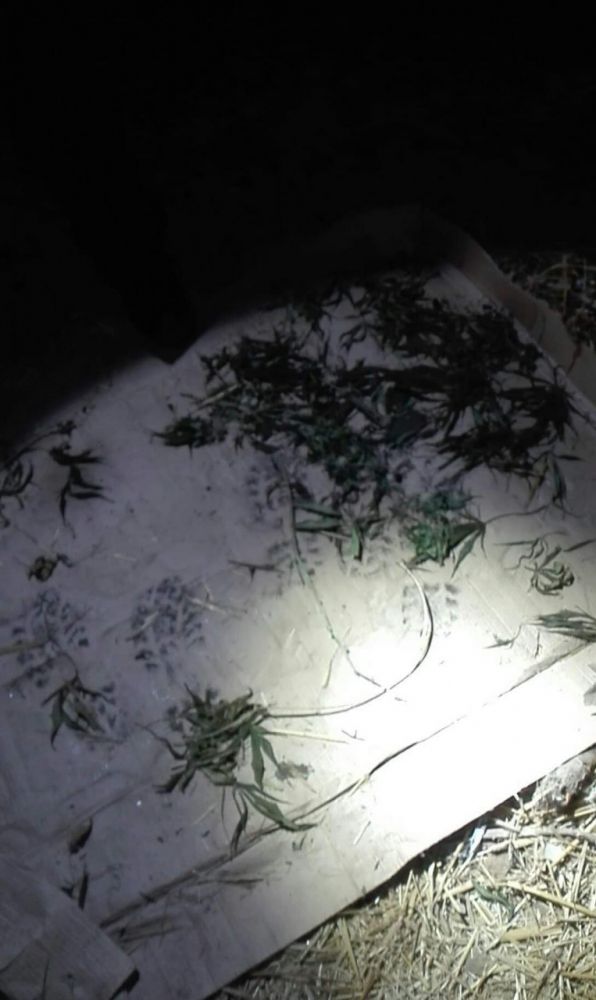 Prawie pół kilograma narkotyków w stodole. 24-latkowi grozi odsiadka - Zdjęcie główne