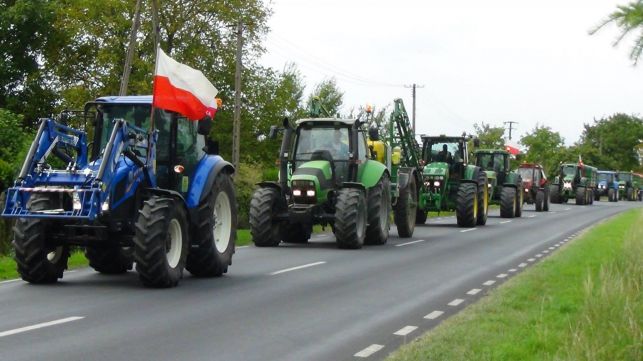 Uwaga podróżujący w stronę Łodzi! Rolnicy będą blokować drogi - Zdjęcie główne