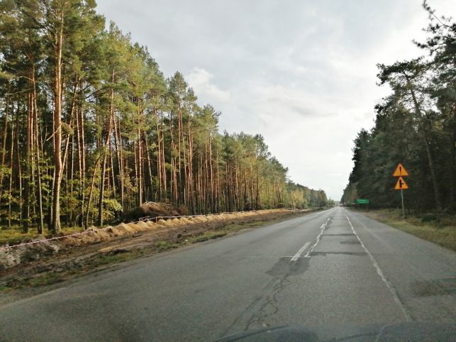 Ta droga zmieni się nie do poznania! Wycięte drzewa, koparki i ''wahadła'' dla kierowców [FOTO] - Zdjęcie główne