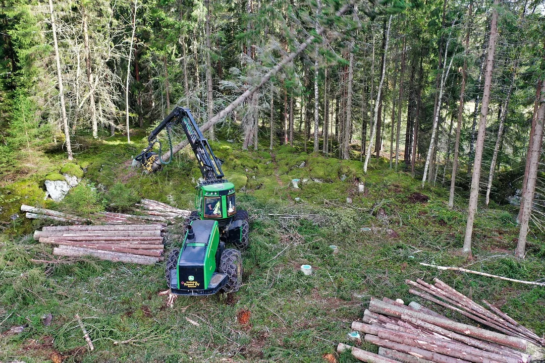 Sprzeciwiają się wycince lasów wokół elektrowni Bełchatów. Czego obawiają się mieszkańcy? - Zdjęcie główne