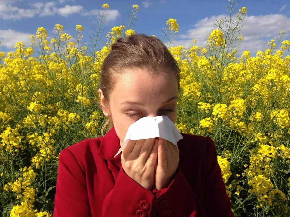 Alergicy nie rozstają się z chusteczkami. Oto 12 rad, które pomogą im przetrwać  - Zdjęcie główne