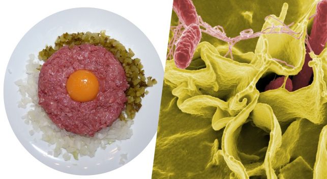 Popularna sieć wycofuje mięso z z salmonellą. Sprawdź, czy nie masz go w lodówce! - Zdjęcie główne