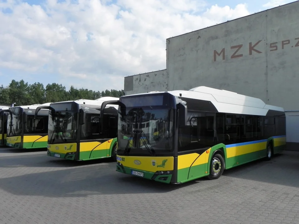 Ilu pasażerów korzysta z darmowego MZK w Bełchatowie? Spółka podała statystyki - Zdjęcie główne