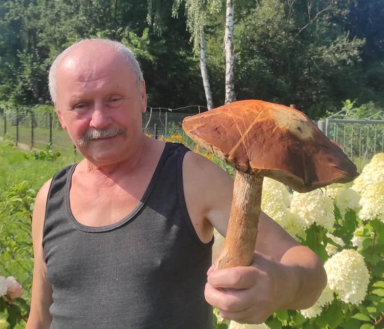 Mieszkaniec Teresina znalazł koźlarka giganta! Pojawiły się grzyby w lasach koło Bełchatowa [FOTO] - Zdjęcie główne