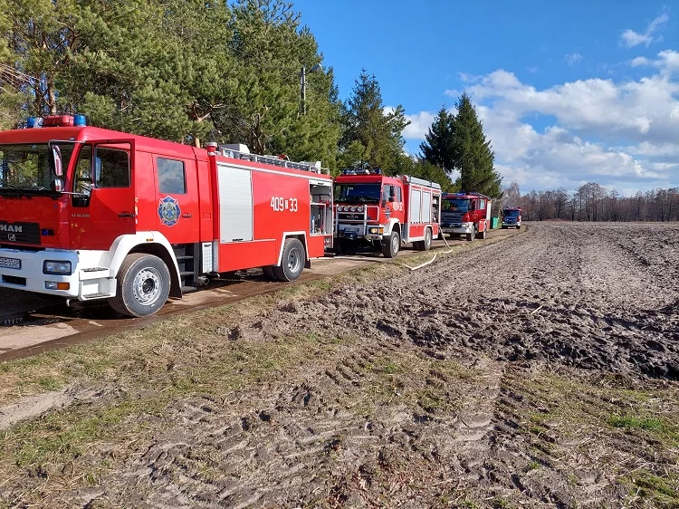 Strażacy gasili pożar w gminie Drużbice. Zapaliły się składowane odpady z drewna - Zdjęcie główne