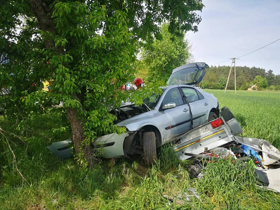 Renault roztrzaskało się o drzewo. Trzy osoby ranne, w aucie jechało dziecko [FOTO] - Zdjęcie główne
