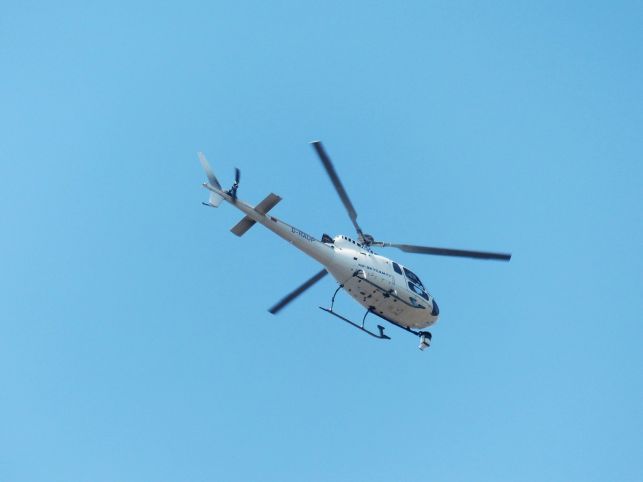 Helikopter, 180 zaangażowanych osób i  pies tropiący w akcji. Trwają wielkie poszukiwania zaginionego mężczyzny - Zdjęcie główne