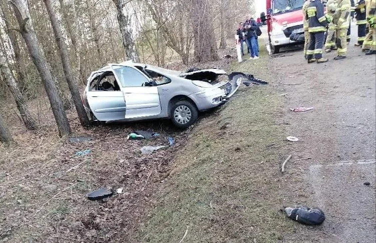 Wypadek pod Bełchatowem. Osobówka rozbita na drzewie, kierowca trafił do szpitala - Zdjęcie główne
