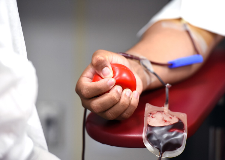 Wkrótce kolejna okazja do oddania krwi w Bełchatowie. Dawcom przysługują dwa dni wolnego - Zdjęcie główne