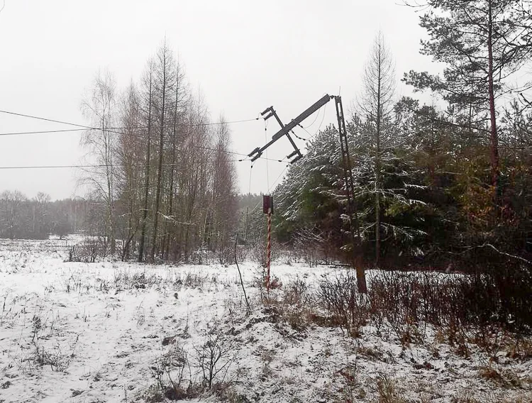 PGE wciąż usuwa awarie po wichurze. Wiele gospodarstw w okolicach Bełchatowa bez prądu  - Zdjęcie główne