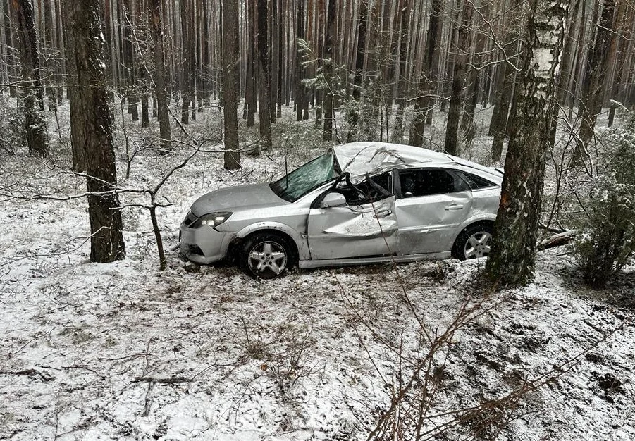 Opel wypadł z drogi i uderzył w drzewo. Leśniczy usłyszał huk, szybko wezwał pomoc - Zdjęcie główne