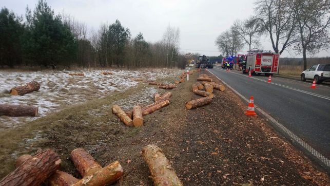 Ładunek drewnianych bali wysypał się na drogę  [FOTO] - Zdjęcie główne