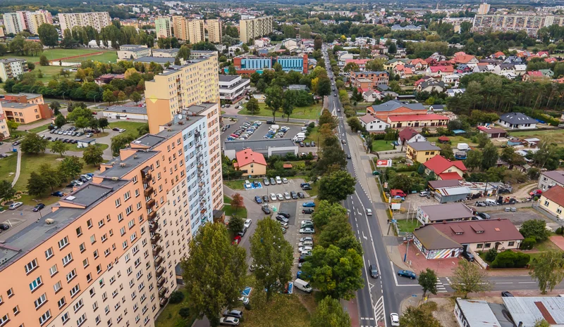 Nietypowa sytuacja na bełchatowskich ulicach. Urząd apeluje do mieszkańców o ostrożność - Zdjęcie główne