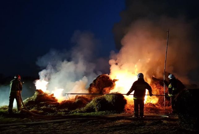 Słup ognia na polu. Strażacy  ochotnicy gasili trawy i płonące baloty siana [FOTO] - Zdjęcie główne