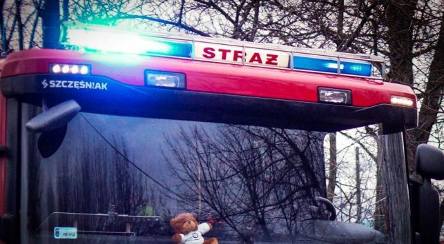 Wielka akcja ratunkowa pod Bełchatowem. Blisko 50 strażaków szukało człowieka przygniecionego drzewem - Zdjęcie główne