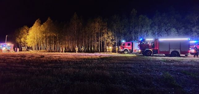Pożar pod Bełchatowem. 7 zastępów straży pożarnej w akcji - Zdjęcie główne