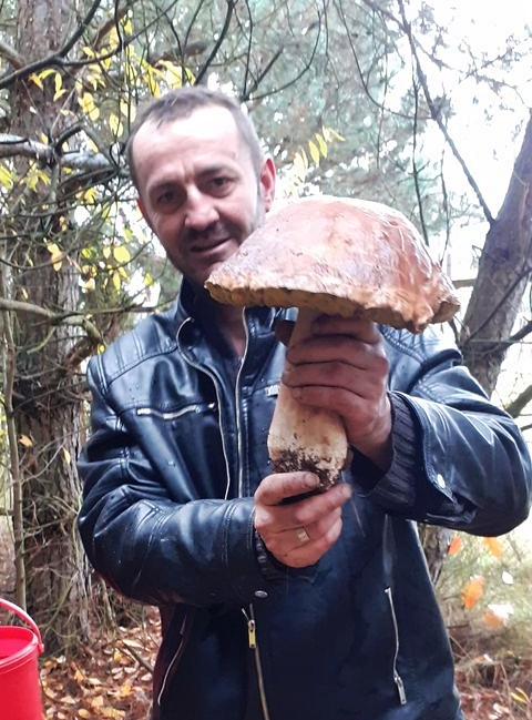 Znalazł prawdziwka-giganta w lesie koło Bełchatowa. Grzyb był tak wielki, że ledwo zmieścił się do wiaderka [FOTO] - Zdjęcie główne