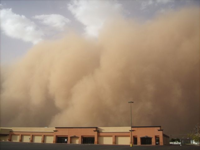Burza piaskowa nad Bełchatowem. Kiedy dotrze do nas saharyjski pył? - Zdjęcie główne