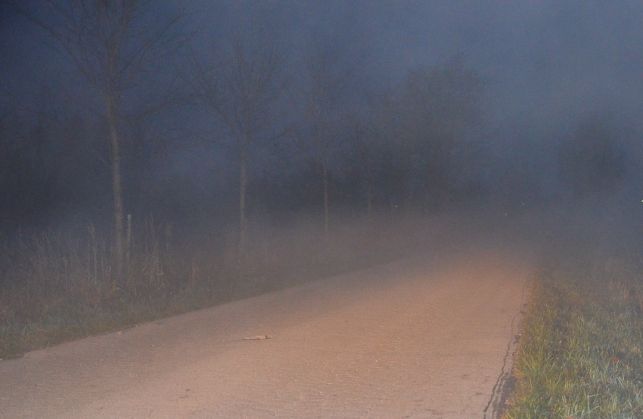 Uwaga kierowcy! Mgły na drogach - Zdjęcie główne