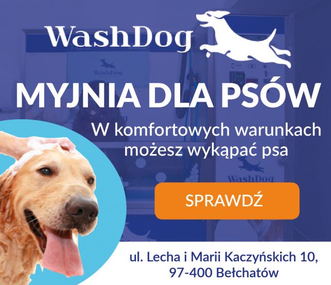 Wielkie otwarcie pierwszej w Bełchatowie myjni dla psów już za nami! - Zdjęcie główne