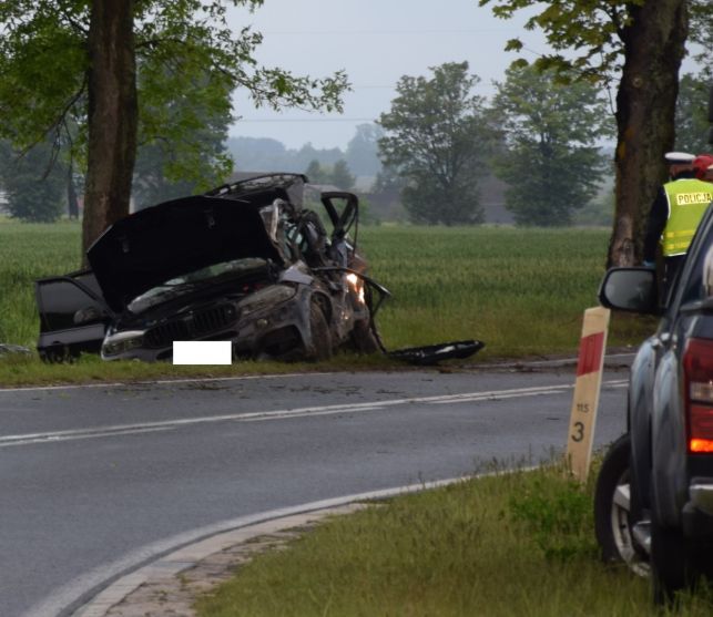 Rozpędzone BMW uderzyło w drzewo. 23-latek zginął na miejscu [FOTO] - Zdjęcie główne