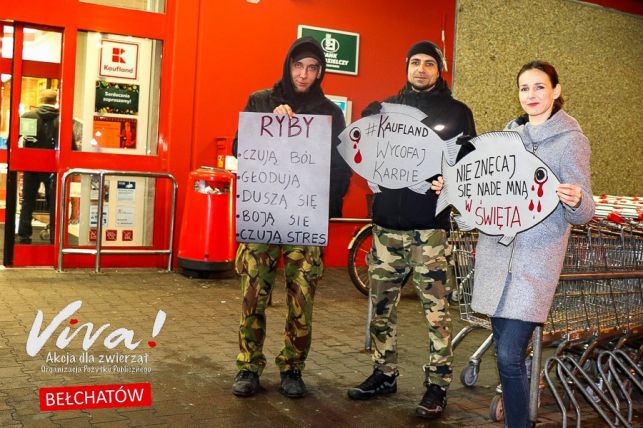 Obrońcy karpi  protestowali przed bełchatowskimi marketami - Zdjęcie główne