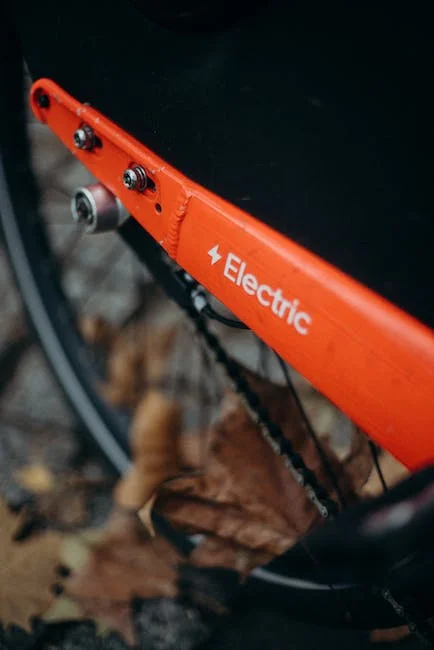 Dlaczego warto jeździć na rowerze elektrycznym? - Zdjęcie główne