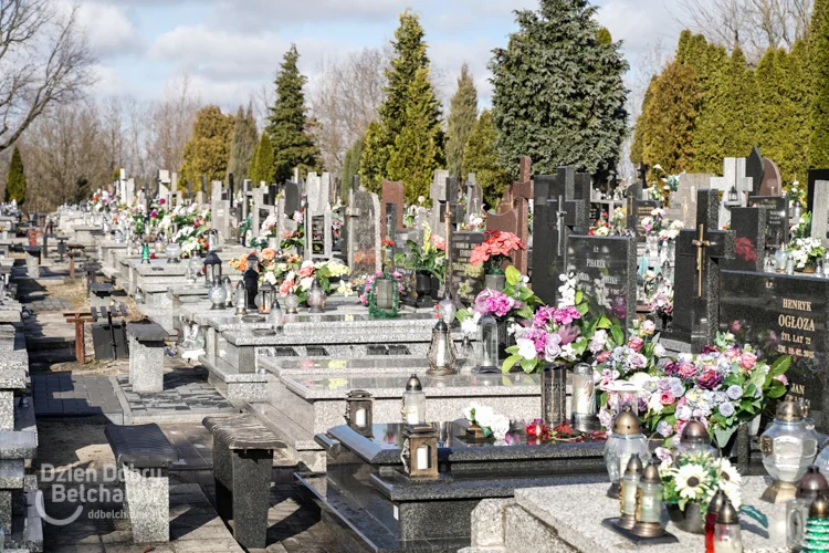 Cyfrowa rewolucja na bełchatowskim cmentarzu. Będzie łatwiej i wygodniej - Zdjęcie główne