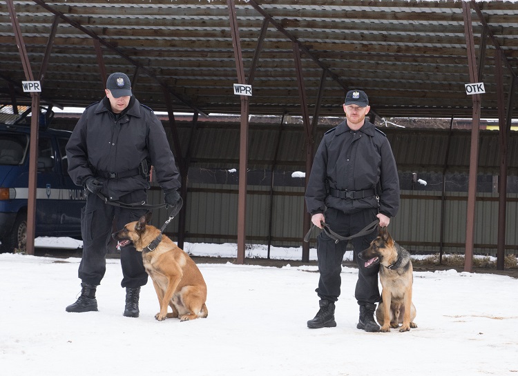 Wybili szybę i włamali się do sklepu w centrum Bełchatowa. Policji pomógł pies tropiący  - Zdjęcie główne