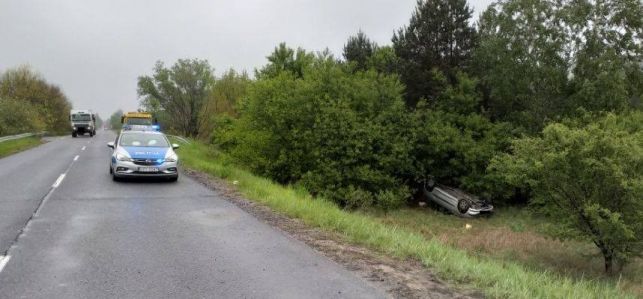 Wypadła z drogi i dachowała. Wszystko przez... sarnę - Zdjęcie główne