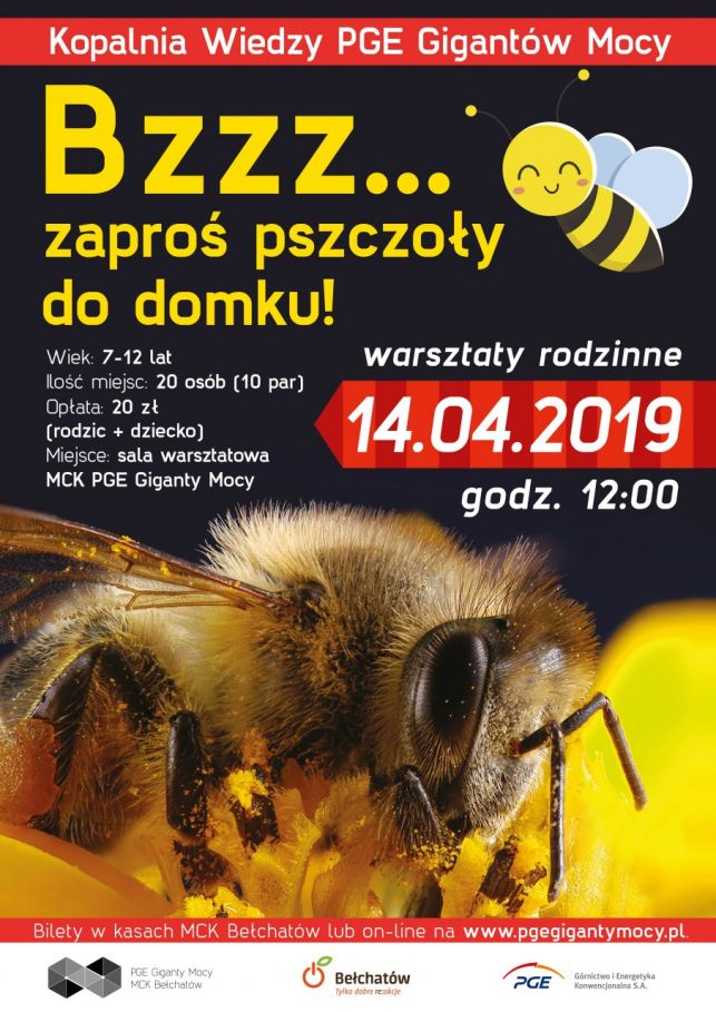 O pszczołach, kwiatowych pyłkach i owadzich hotelach w PGE Gigantach Mocy - Zdjęcie główne