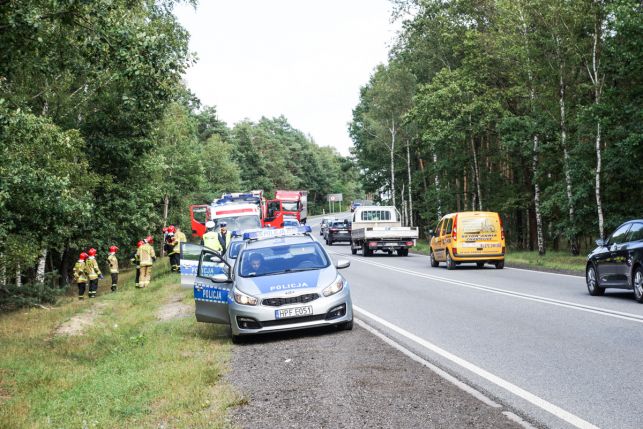 Wypadek koło Bełchatowa. Auto roztrzaskało się na drzewie, w środku jechała kobieta z dzieckiem [FOTO] - Zdjęcie główne