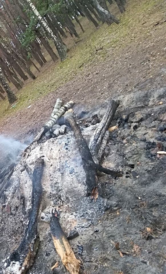 Ogień w lesie przy cmentarzu, mogło być niebezpiecznie - Zdjęcie główne