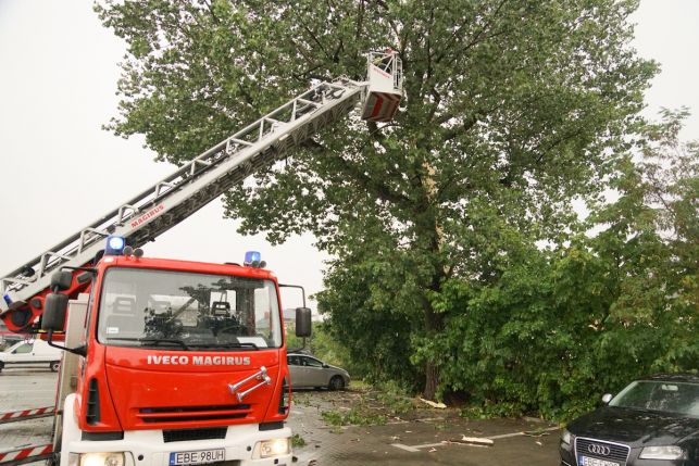 Piorun uderzył przy Wojska Polskiego. Ucierpiało drzewo, zniszczone są też samochody [FOTO] - Zdjęcie główne