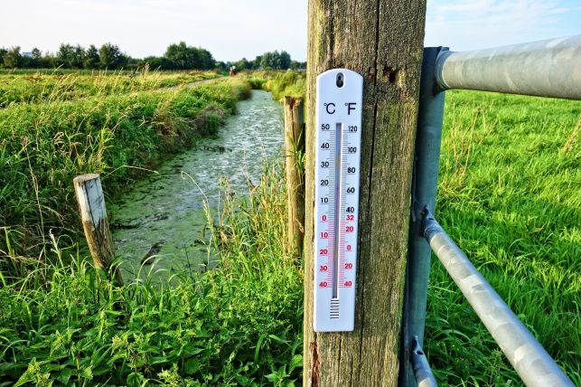 Bełchatowianie, uwaga na upały i burze! - Zdjęcie główne