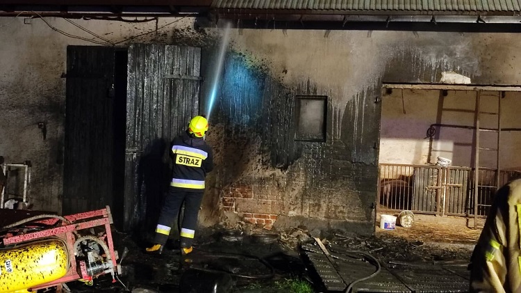 Strażacy gasili pożar w gminie Drużbice. Trzy zastępy walczyły z ogniem [FOTO] - Zdjęcie główne
