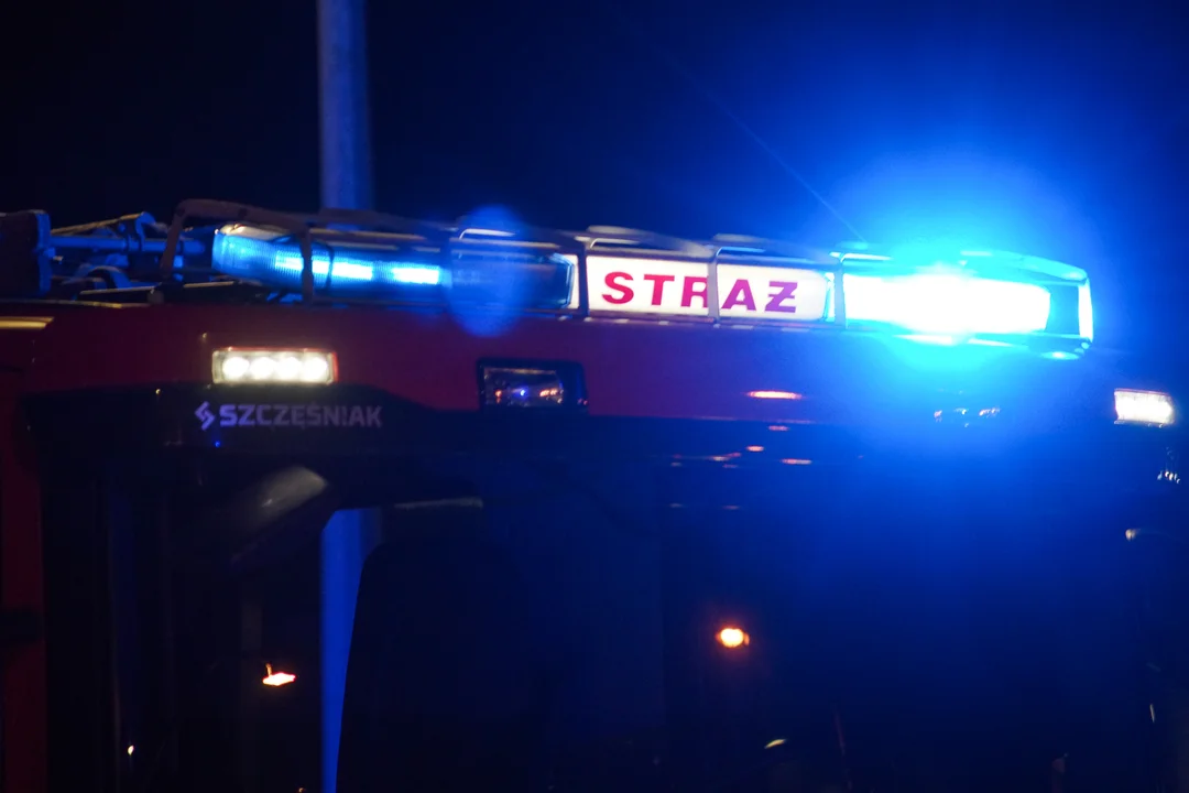 Strażacy walczyli z pożarem w gminie Zelów. Straty mogły być ogromne - Zdjęcie główne