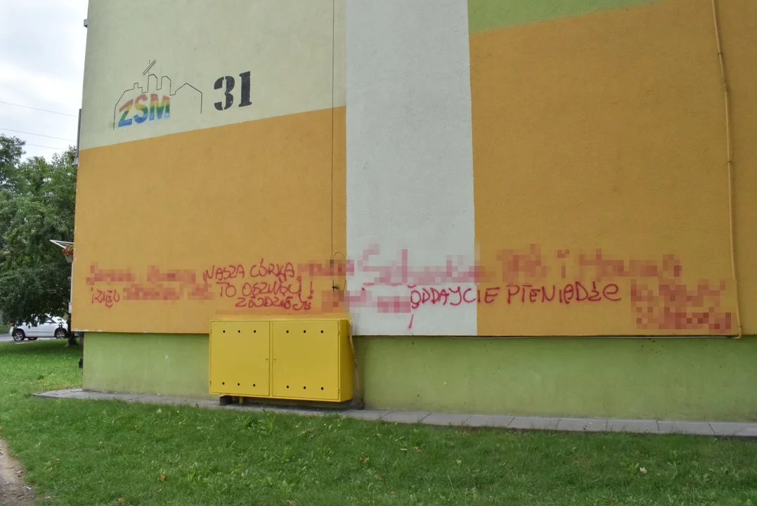 Wulgarne napisy na ścianach budynków w Zgierzu. Mieszkańcy są oburzeni [ZDJĘCIA] - Zdjęcie główne