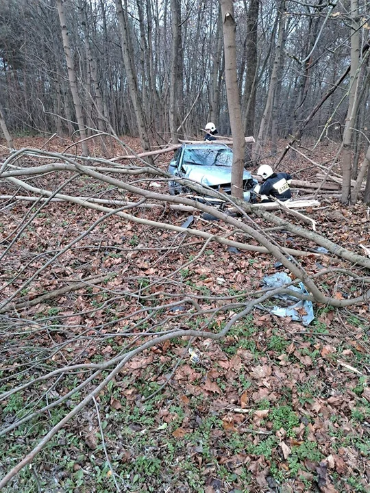 Samochód wypadł z drogi i wpadł w drzewa w Krasowej