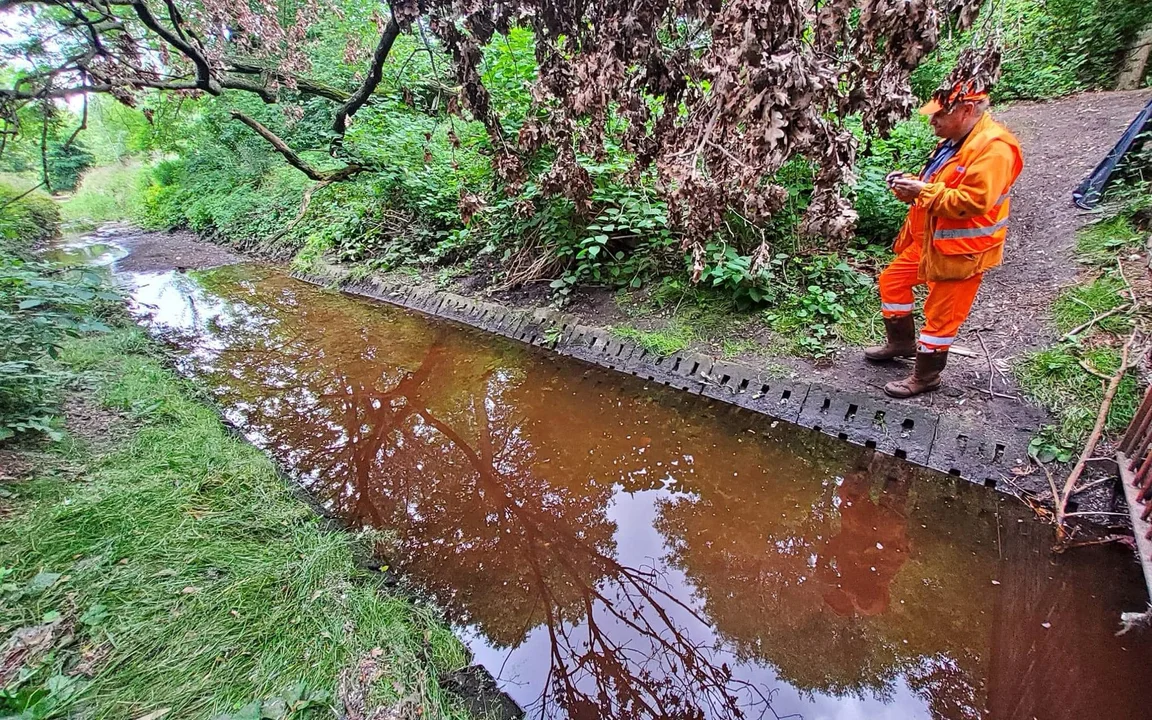 Woda w rzece Jasieniec zrobiła się... pomarańczowa! Zanieczyszczenie zauważyli mieszkańcy. Wszczęto poszukiwania sprawcy [ZDJĘCIA] - Zdjęcie główne