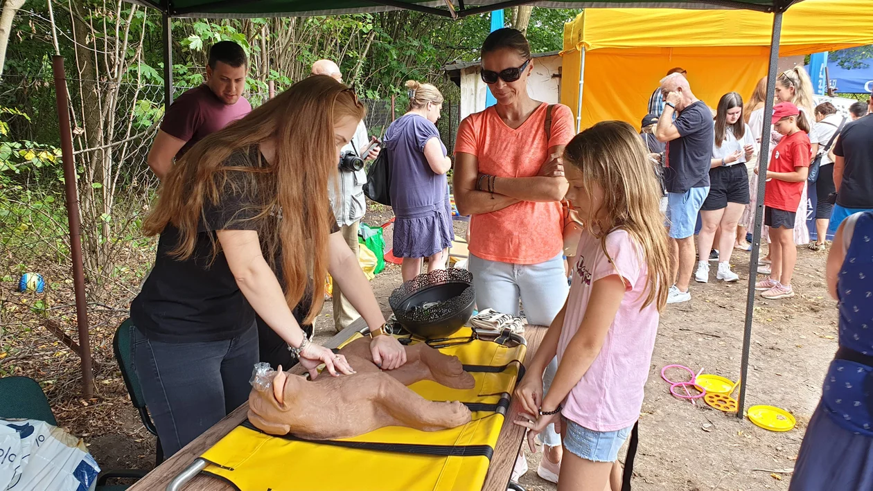 Piknik rycerski w Jedliczu