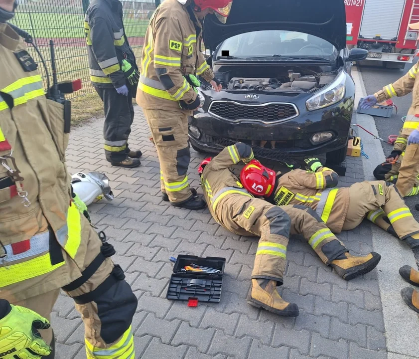 Akcja straży i policji w Kleszczowie. Służby ruszyły na ratunek potrącanemu zwierzakowi - Zdjęcie główne