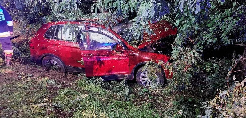 Groźny wypadek w gminie Zelów. Samochód uderzył w betonowy mostek, a potem w drzewo - Zdjęcie główne