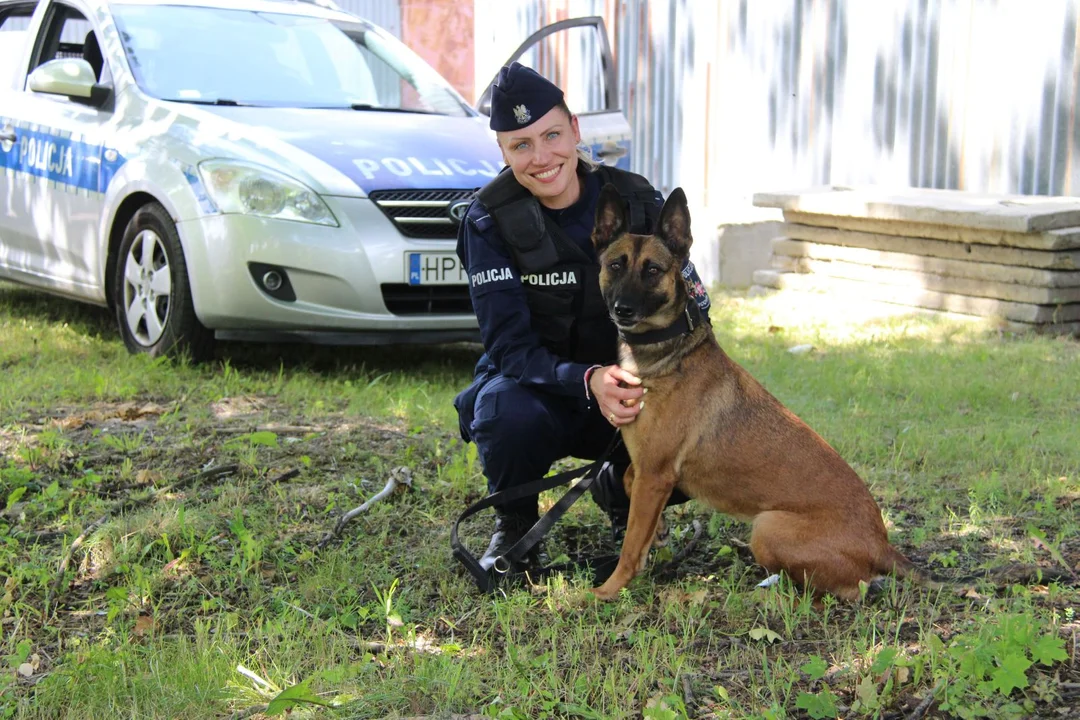 Psy policyjne z województwa łódzkiego