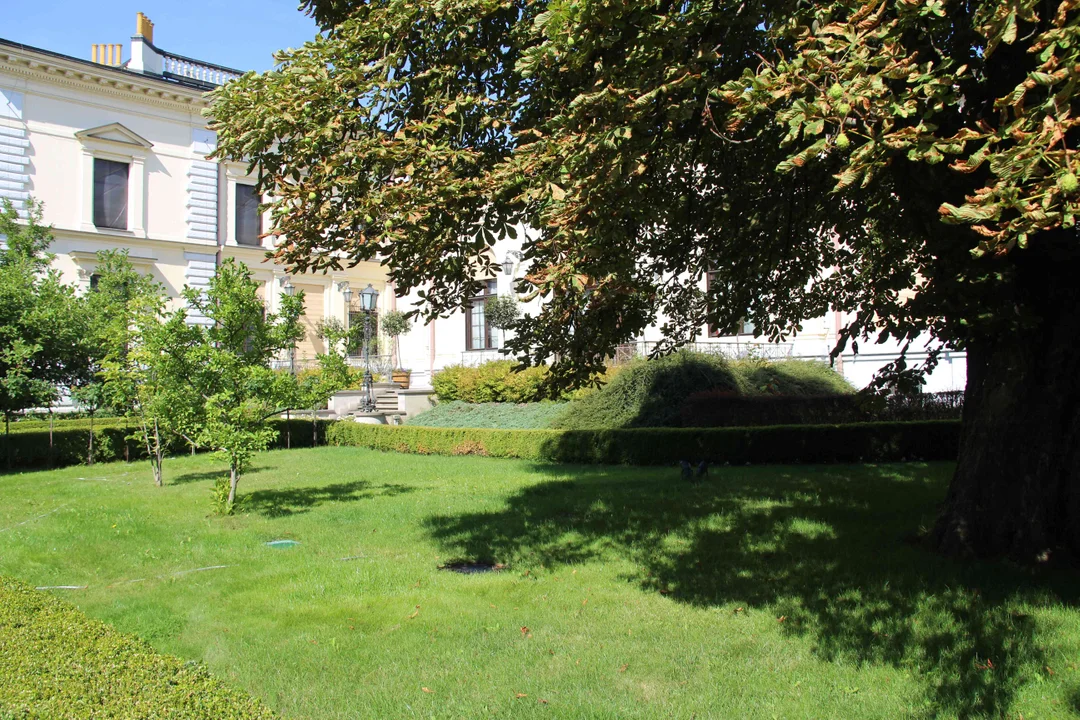 Zachwycający ogród Muzeum Pałacu Herbsta