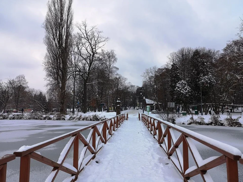 Zima zagościła w Parku Miejskim