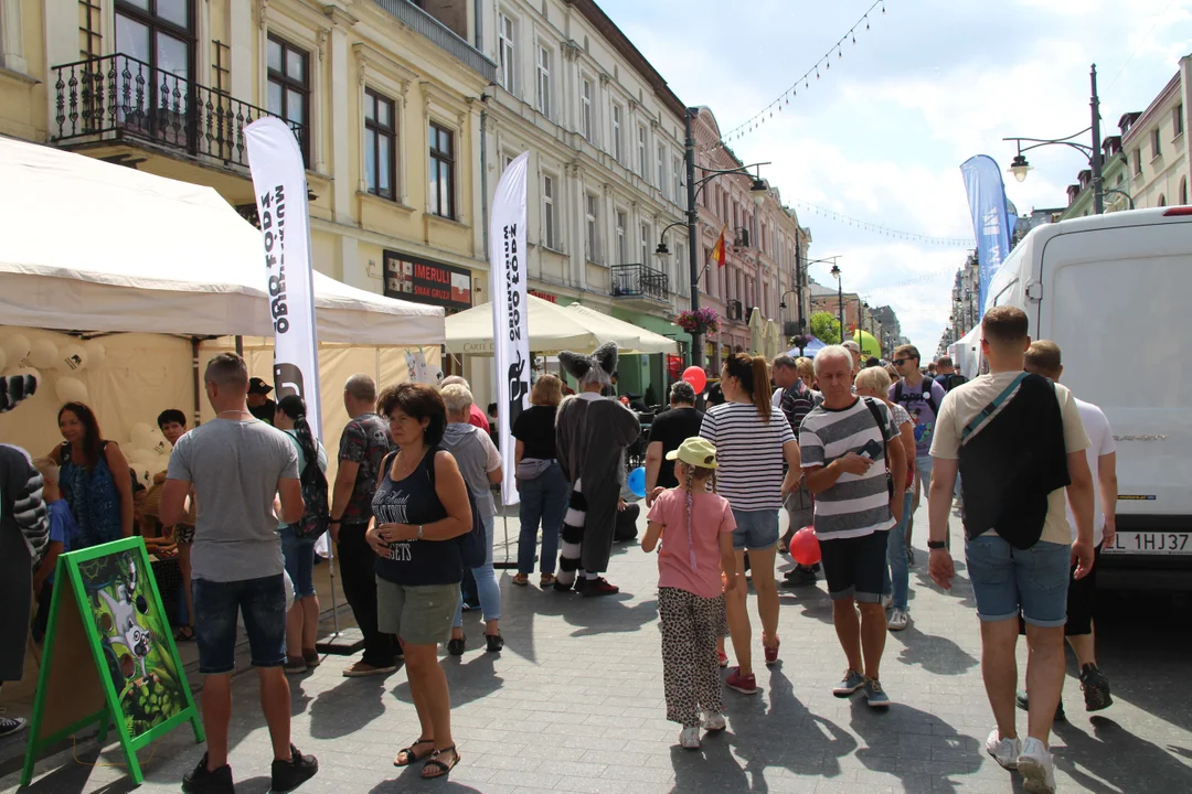 Najmłodsi przejęli Piotrkowską