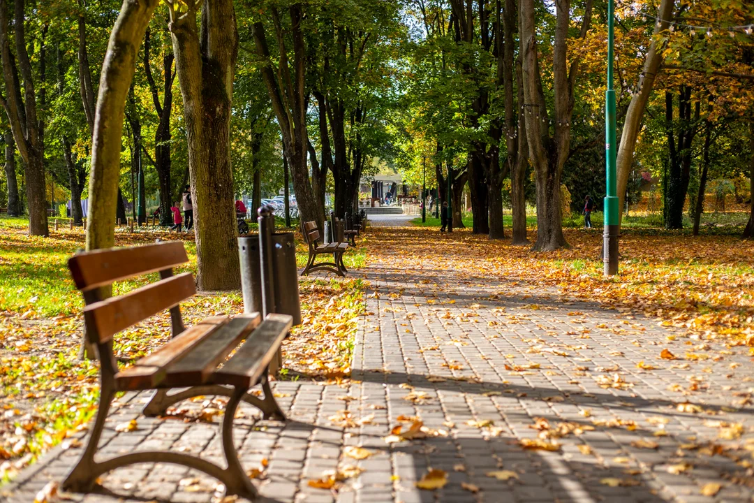 Kutnowskie parki jesienią