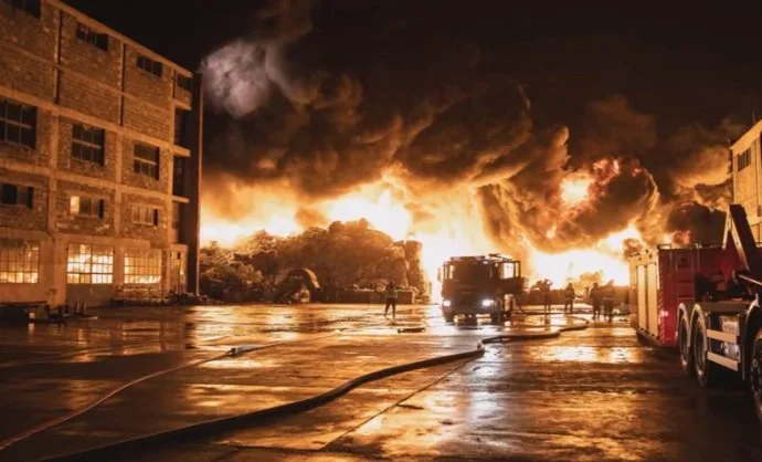 Minęło pięć lat od ogromnego pożaru na Borucie. Mieszkańcy Zgierza i okolic byli przerażeni [zdjęcia] - Zdjęcie główne